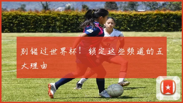 别错过世界杯!锁定这些频道的五大理由