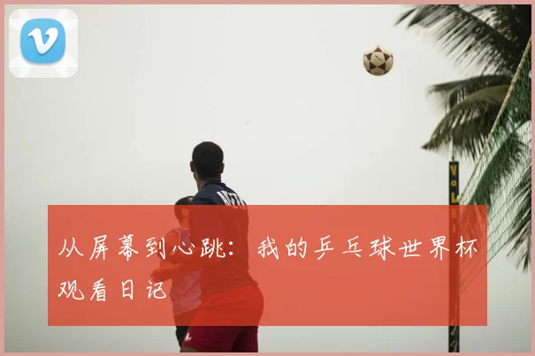 从屏幕到心跳：我的乒乓球世界杯观看日记